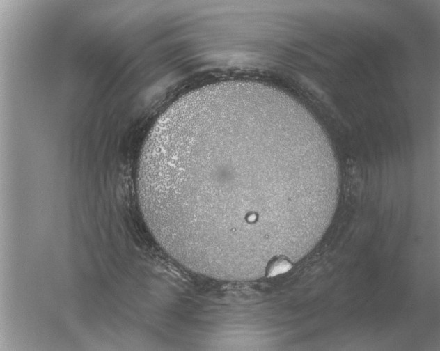 X0000052570918200507152248