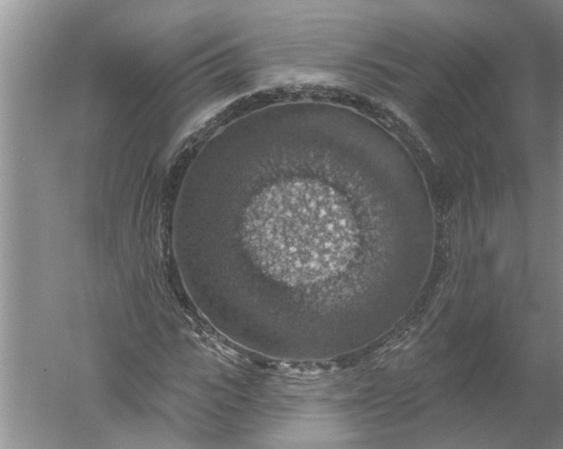 X0000052570919200507152248