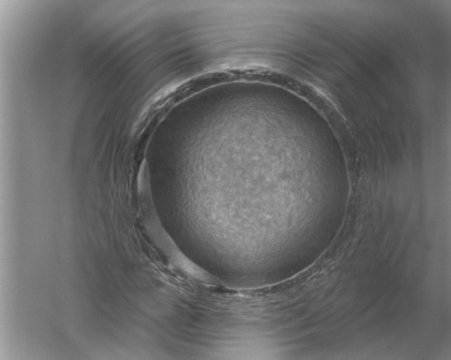 X0000052570920200507152248