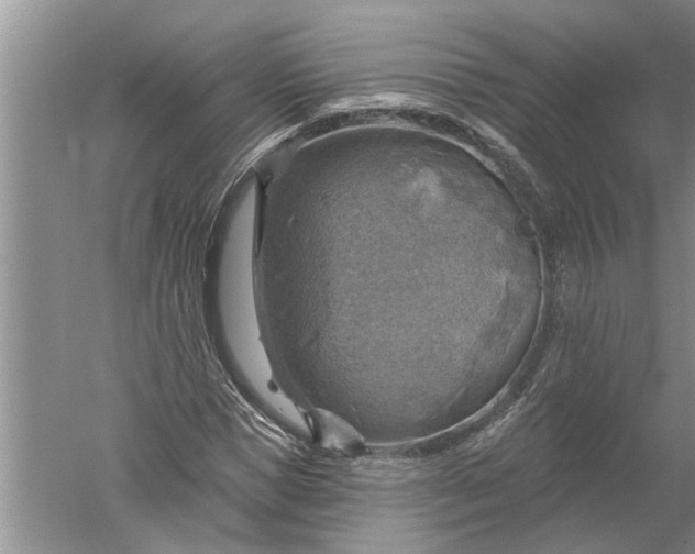 X0000052570921200507152248