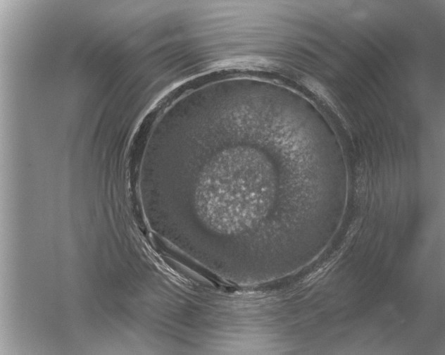 X0000052570923200507152248