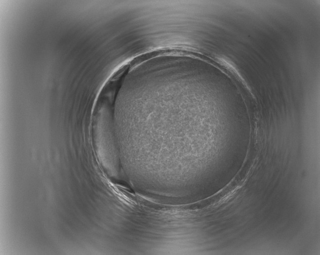 X0000052570924200507152248