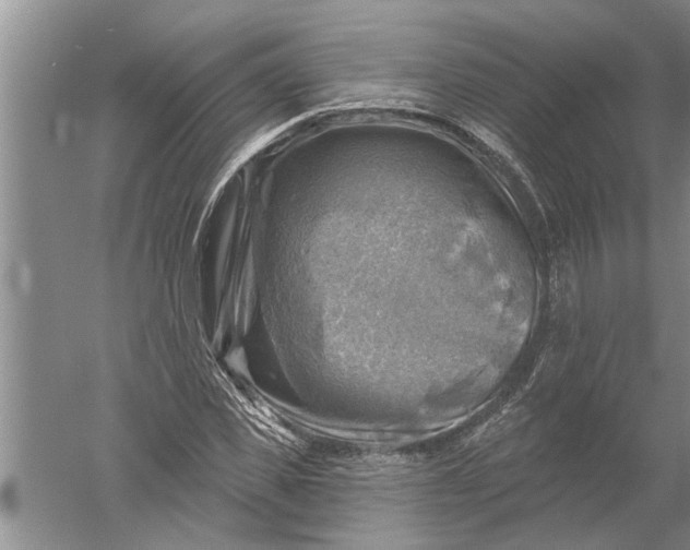 X0000052570925200507152248