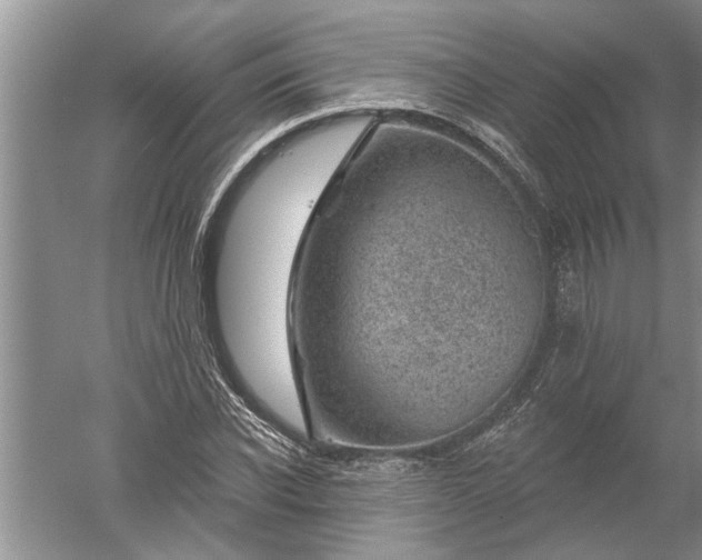 X0000052570926200507152248