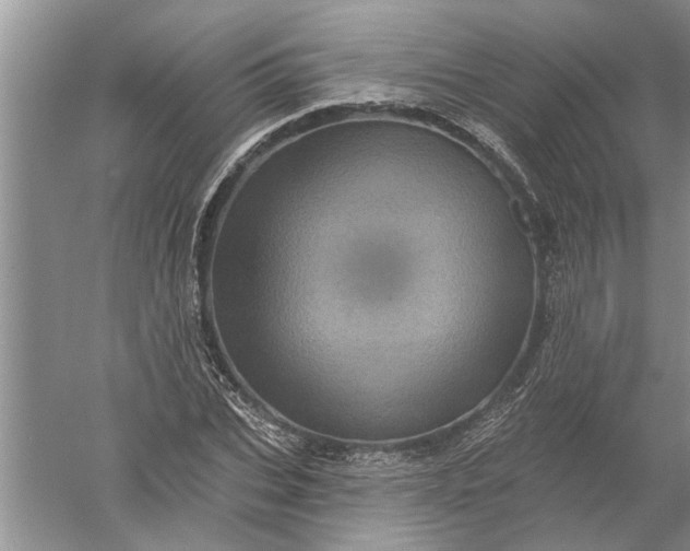 X0000052570927200507152248