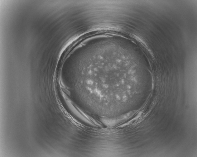 X0000052570928200507152248