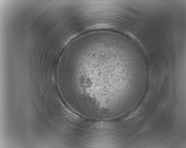 X0000052570929200507152248