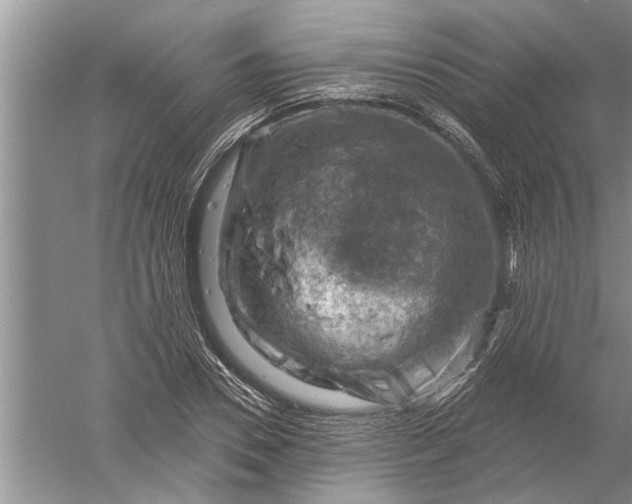 X0000052570930200507152248