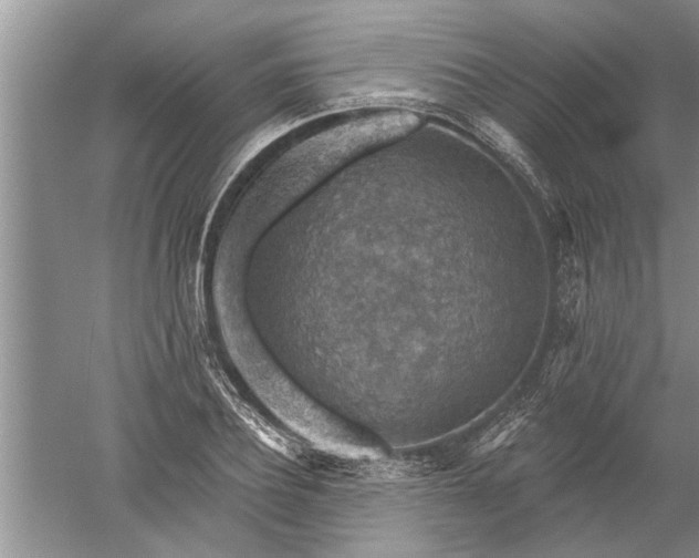 X0000052570932200507152248