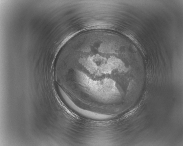 X0000052570933200507152248