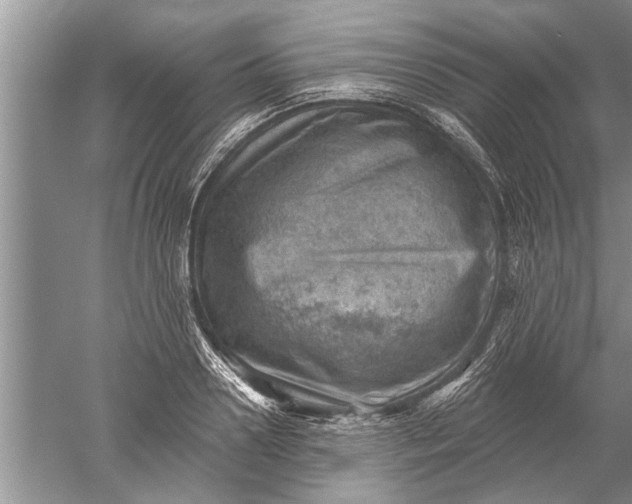 X0000052570938200507152248