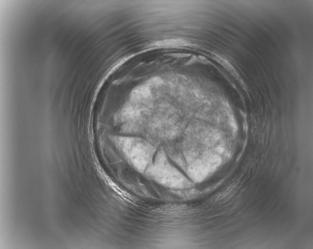 X0000052570939200507152248