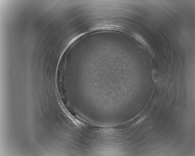 X0000052570940200507152248