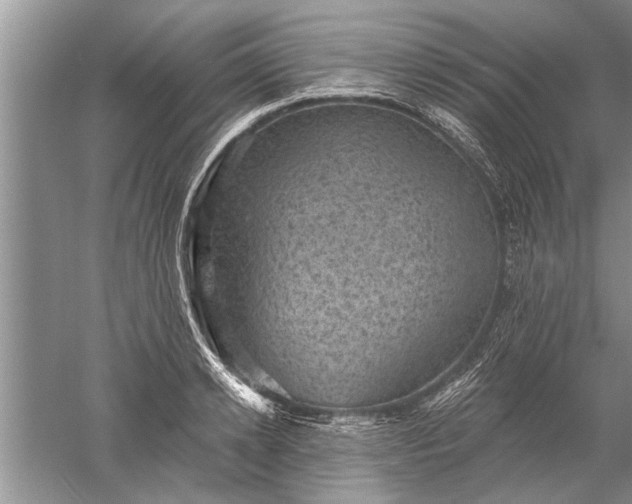 X0000052570942200507152248