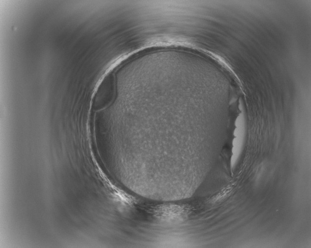 X0000052570943200507152248