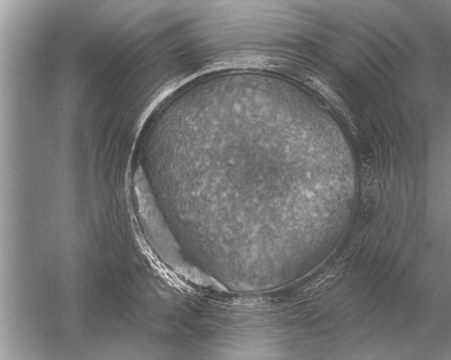 X0000052570944200507152248