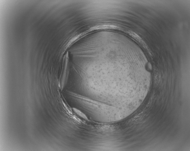 X0000052570945200507152248