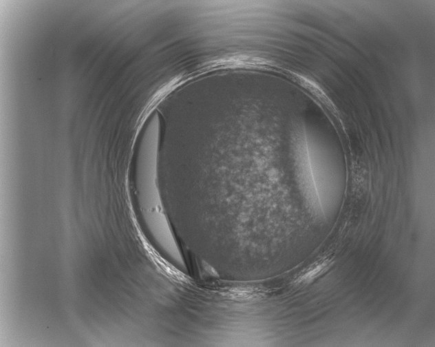 X0000052570946200507152248