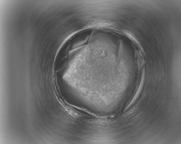 X0000052570948200507152248