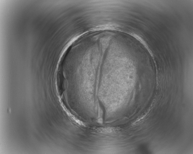 X0000052570949200507152248