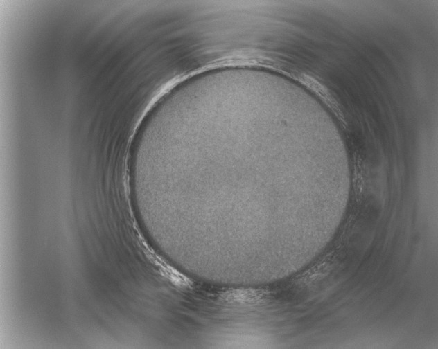 X0000052570950200507152248