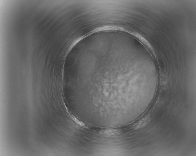 X0000052570953200507152249