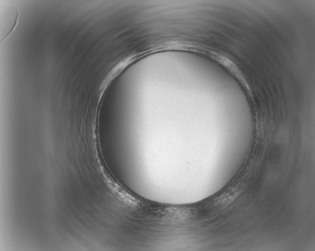 X0000052570954200507152249