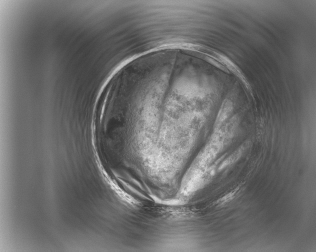 X0000052570955200507152249