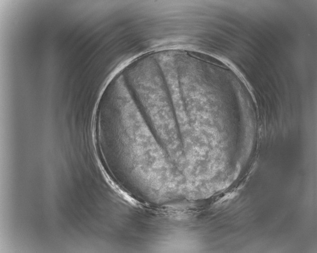 X0000052570957200507152249