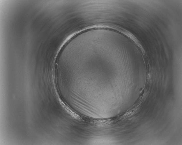 X0000052570958200507152249