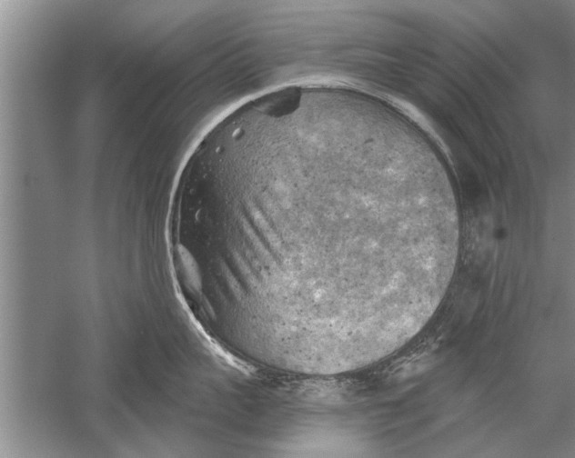 X0000052570959200507152249