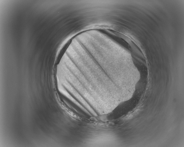 X0000052570960200507152249