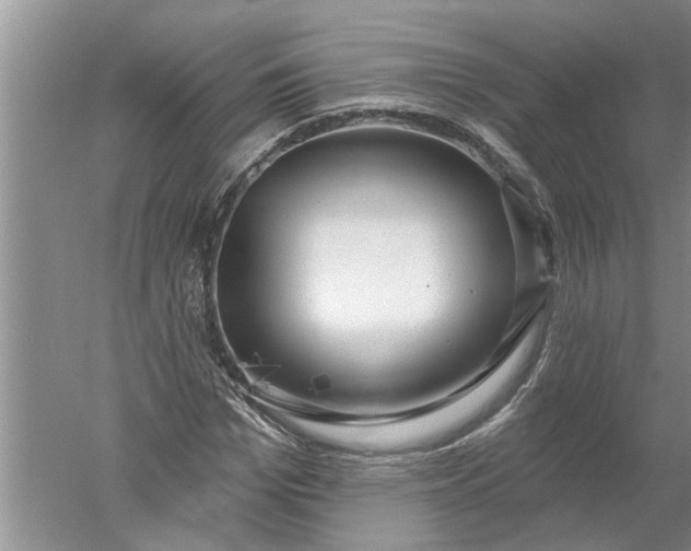 X0000052570969200507152248