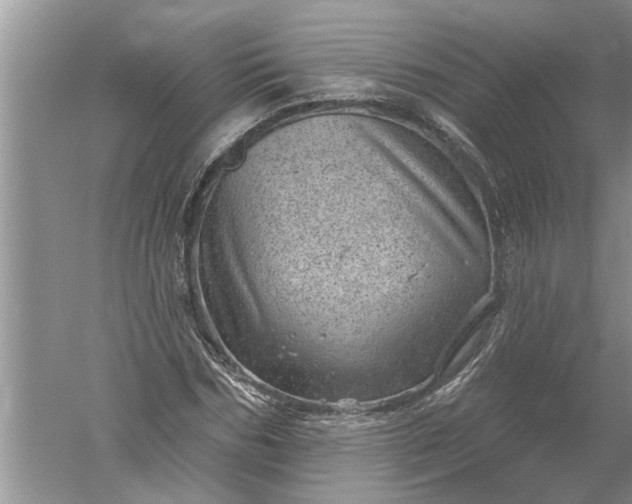 X0000052570970200507152248