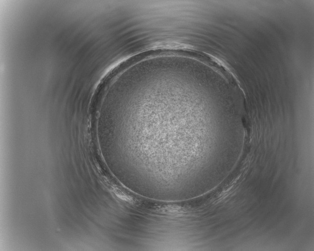 X0000052570971200507152248