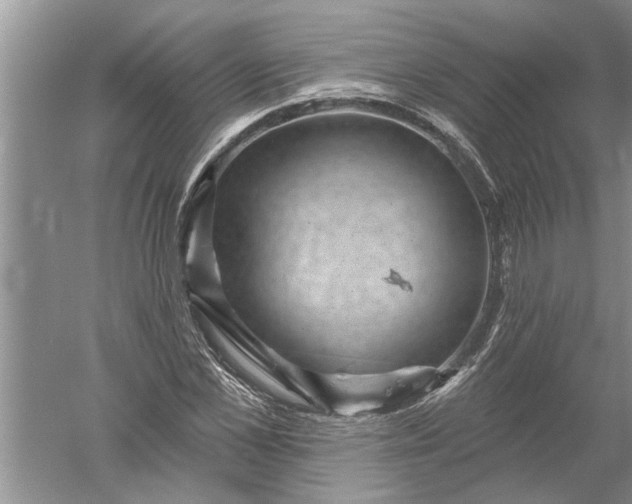 X0000052570973200507152248