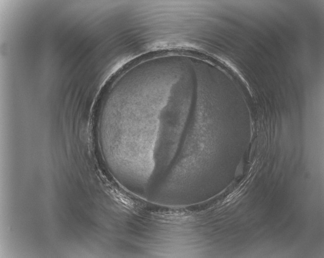 X0000052570975200507152248