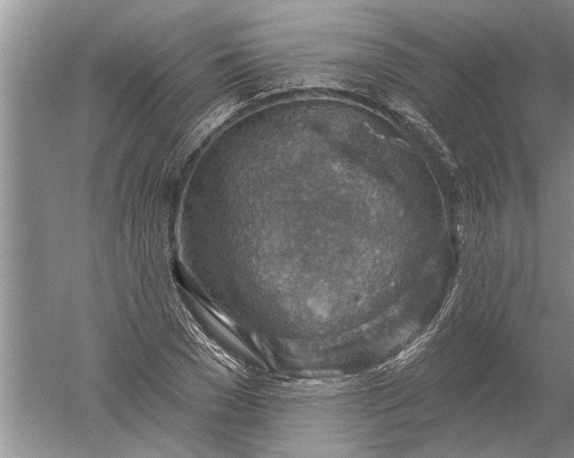 X0000052570977200507152248