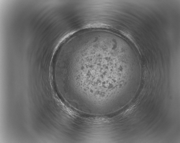 X0000052570979200507152248