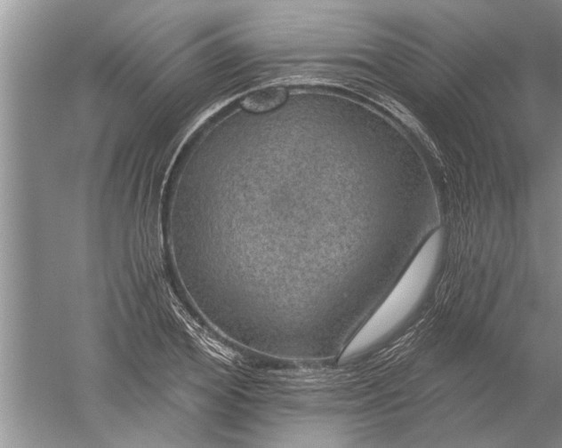 X0000052570980200507152248