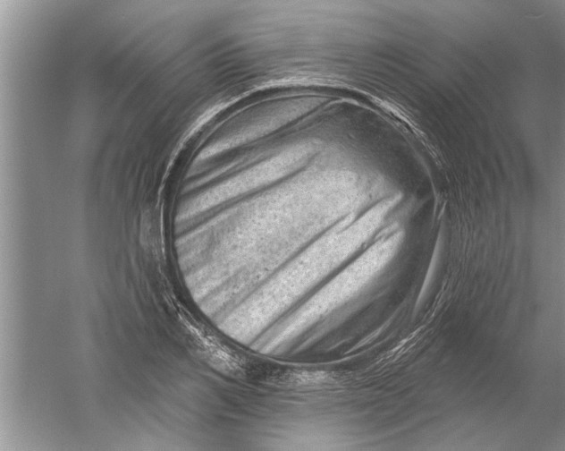 X0000052570982200507152247