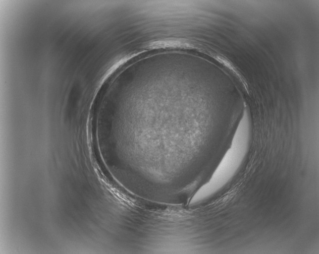 X0000052570983200507152247