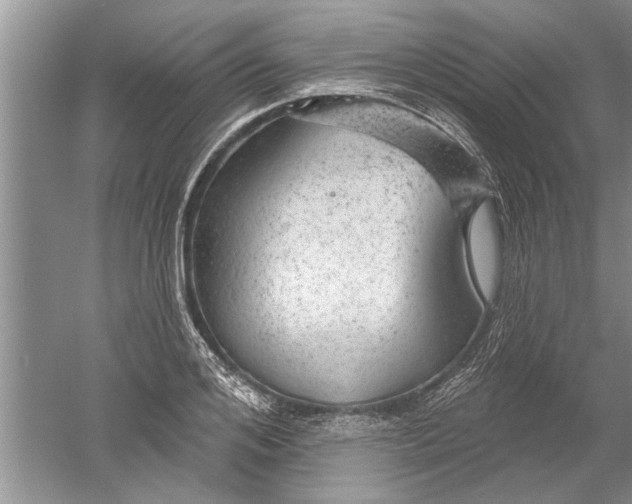 X0000052570984200507152247