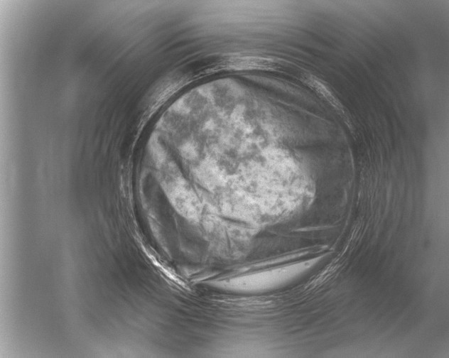 X0000052570986200507152247