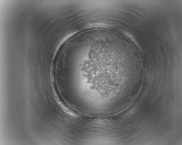 X0000052570987200507152247