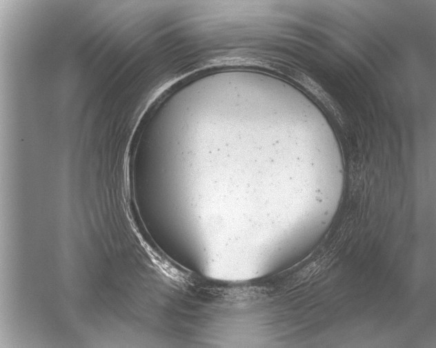 X0000052570988200507152247