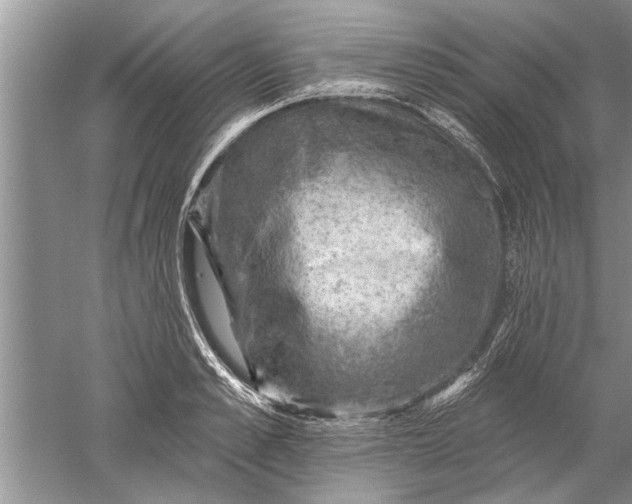 X0000052570989200507152247