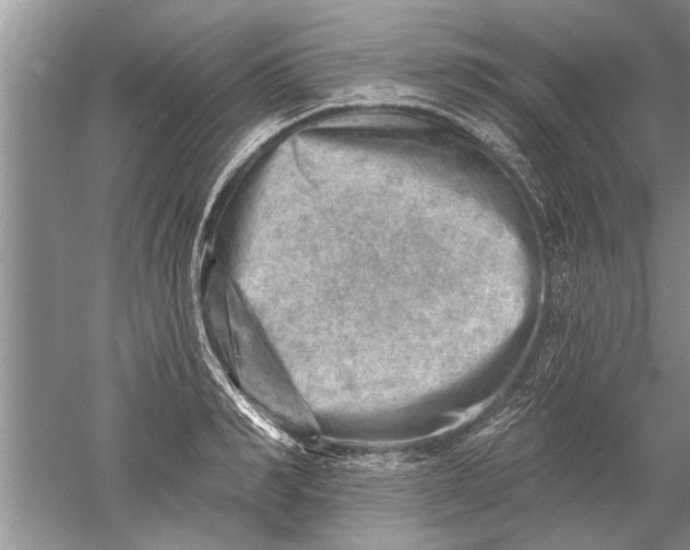 X0000052570990200507152247