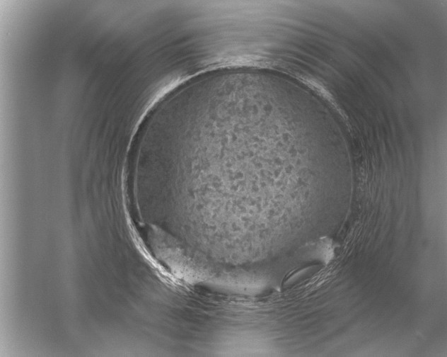 X0000052570991200507152247