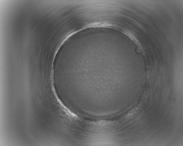 X0000052570992200507152247